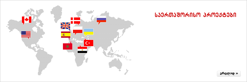 საერთაშორისო პროექტები